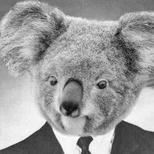 Meet your Posher, Paige